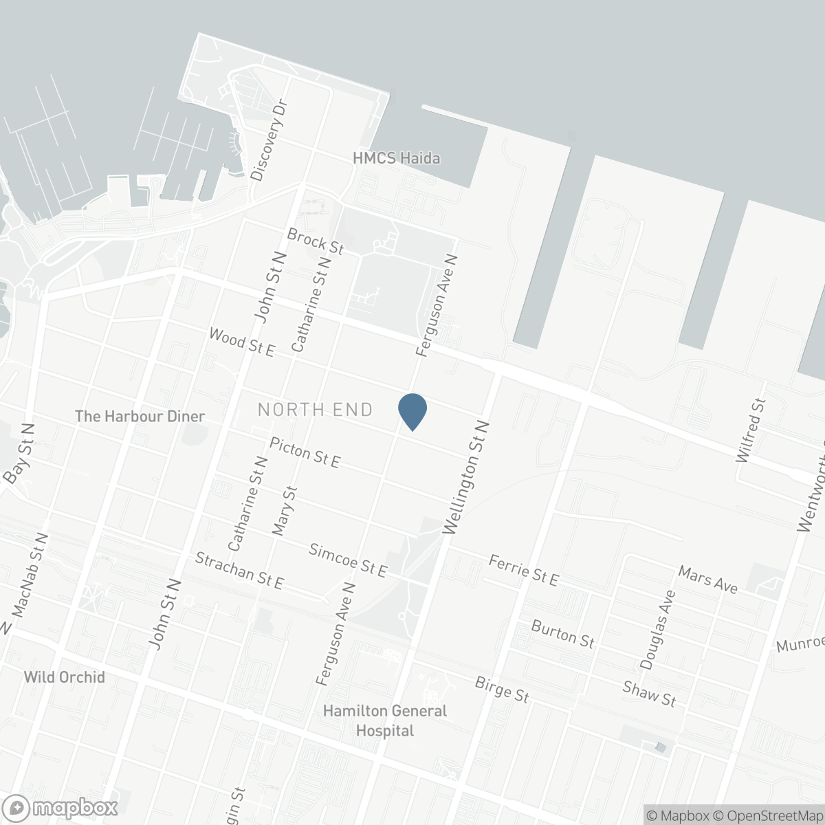 494 FERGUSON Avenue N, Hamilton, Ontario L8L 4Z5